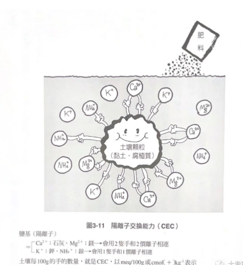 土壤的保肥力