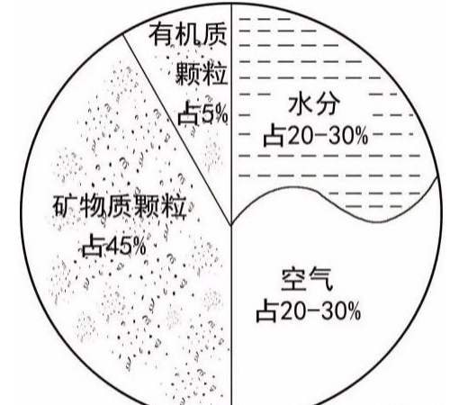 土壤養(yǎng)護(hù)小知識