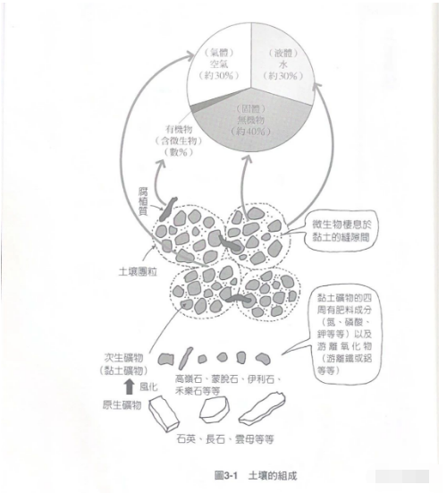 土壤的構(gòu)成及何謂地力