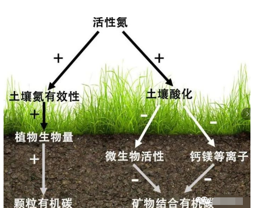 土壤“變色”原因，及補救辦法！