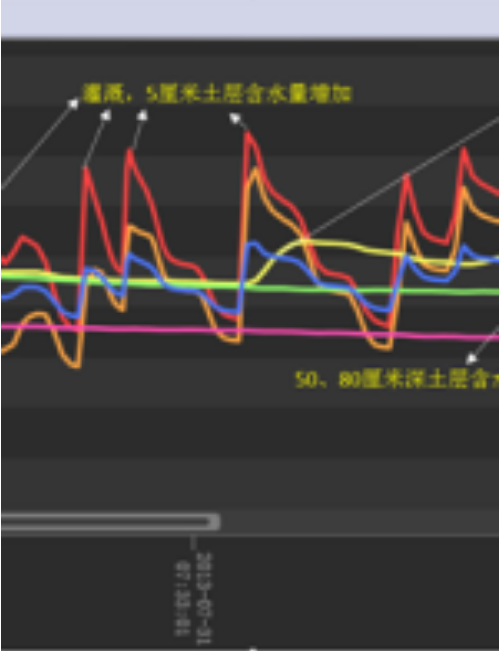 科學(xué)種植丨土壤水分如何影響作物生長(zhǎng)？