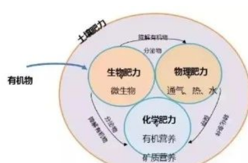 微生物與土壤肥力