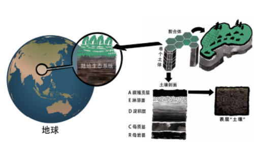 土壤的基本知識