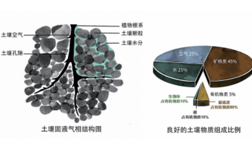 土壤的基本知識