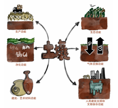 土壤的基本知識