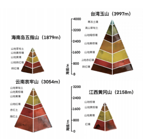 土壤的基本知識