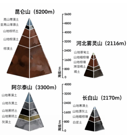 土壤的基本知識