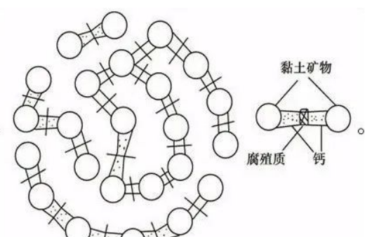 01  土壤的基本結(jié)構(gòu)  土壤是由固體、液體、氣體三種狀態(tài)物質(zhì)組成的疏松多孔結(jié)構(gòu)，具有給植物生長發(fā)育提供養(yǎng)分