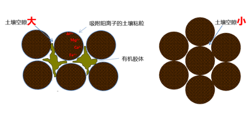 土壤中大孔小孔比例多少適合種植？土壤孔隙你了解多少？