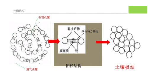 土壤中大孔小孔比例多少適合種植？土壤孔隙你了解多少？