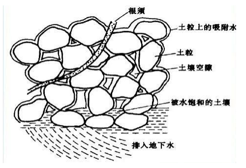 土壤中大孔小孔比例多少適合種植？土壤孔隙你了解多少？