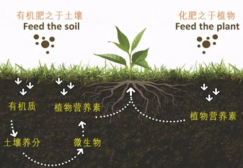 改良土壤，你不做，我也不做，那誰(shuí)來(lái)做？”