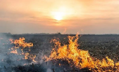 秸稈還田——當(dāng)下最合適的培肥土壤的方法