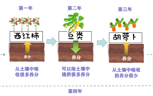 土壤系列科普四：不同種植方式對(duì)土壤的作用和影響