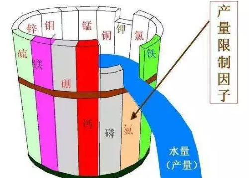 土壤養(yǎng)分的短板-微量元素