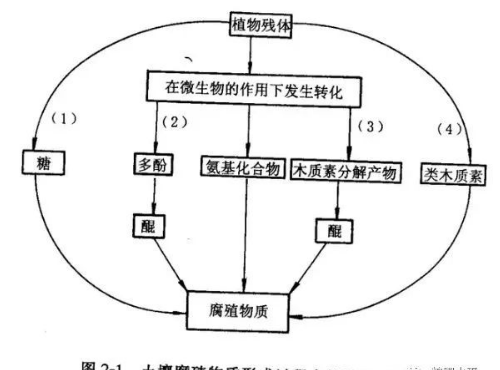 土壤有機(jī)質(zhì)增加與施用有機(jī)肥有什么關(guān)系？