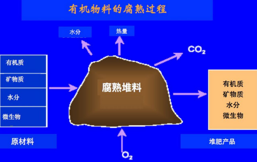 增施有機(jī)肥對土壤微生物多樣性有哪些影響？