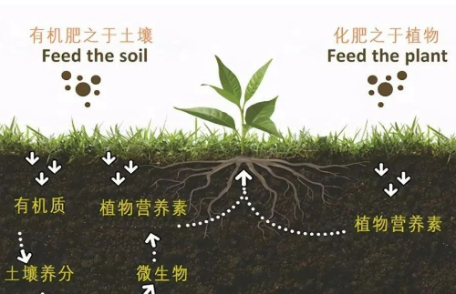 有機(jī)肥對(duì)土壤的5大作用