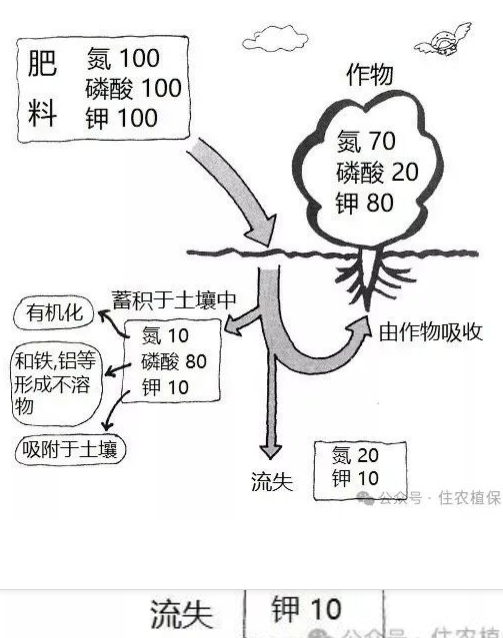 土壤過(guò)度施肥造成的障礙