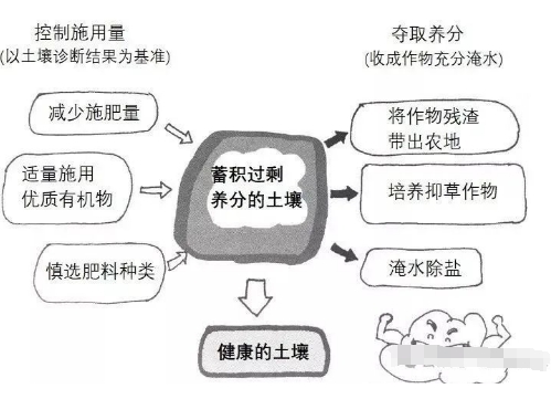 土壤過(guò)度施肥造成的障礙