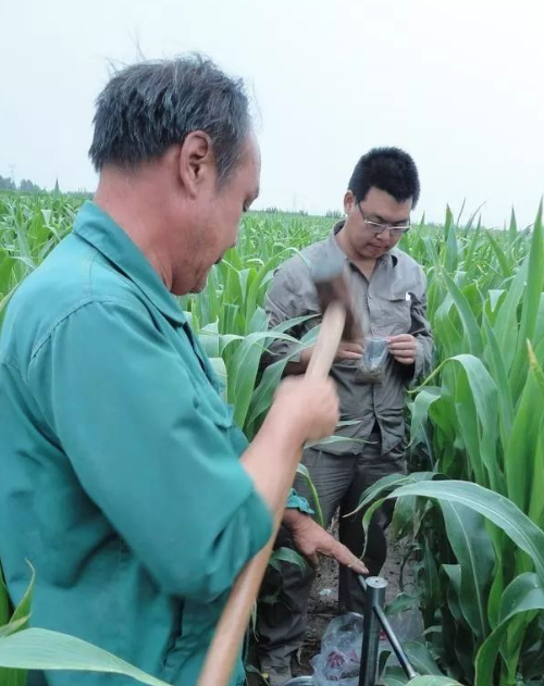 你的土壤是鹽土還是堿土？簡單實(shí)用小技巧→