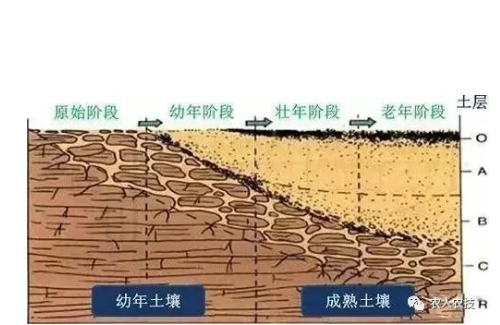 土壤十大病癥，看完嚇你一跳！