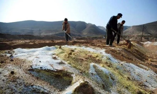 面對土壤重金屬污染如何高效修復(fù)