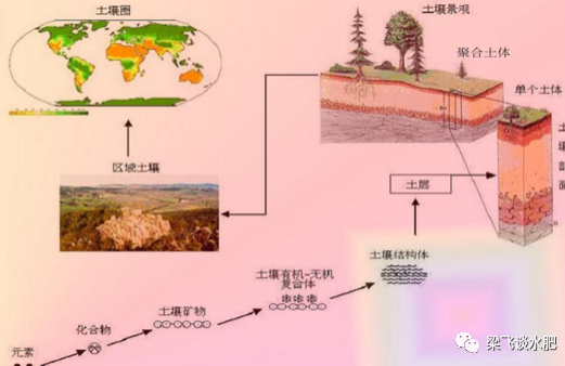 有機(jī)肥不等于土壤有機(jī)質(zhì)！