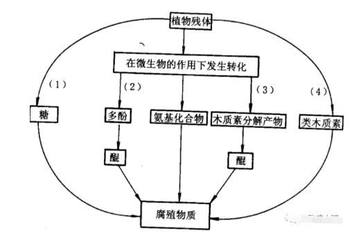 有機(jī)肥不等于土壤有機(jī)質(zhì)！