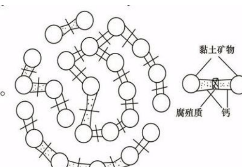 土壤里面學問大，搞不清楚這些別瞎種地！