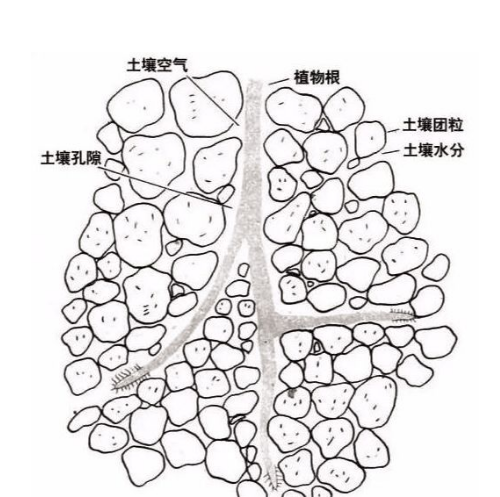 土壤里面學問大，搞不清楚這些別瞎種地！