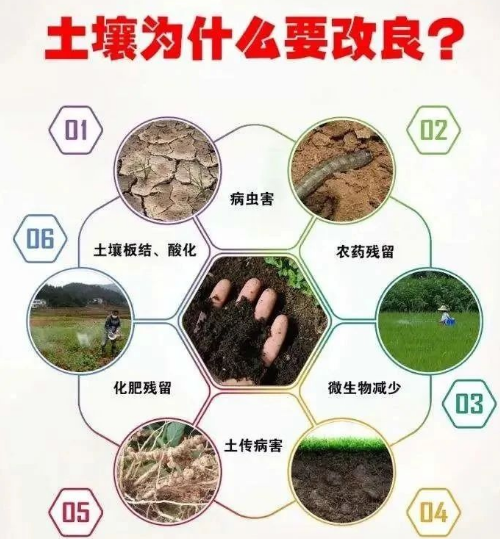 土壤改良你到底了解多少？