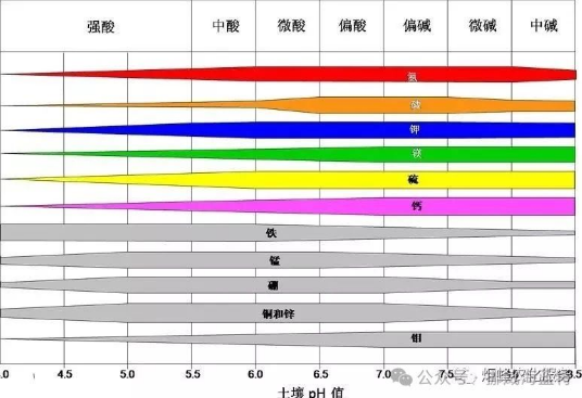 作物根系生長(zhǎng)三要素