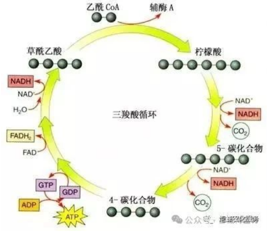 作物根系生長(zhǎng)三要素