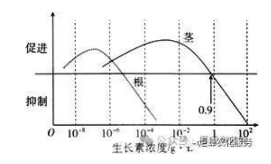 作物根系生長(zhǎng)三要素