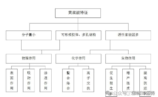 作物根系生長(zhǎng)三要素