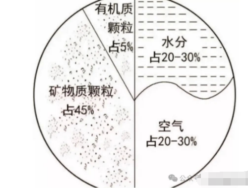 菜地土壤很結怎么辦？用這個方法吧，村里老菜農都在用