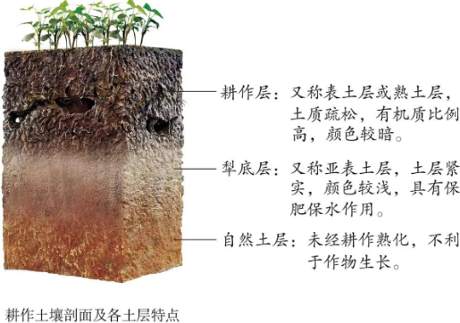 如何提升耕作層土壤肥力？