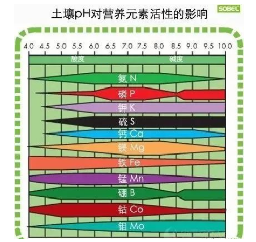 如何提升土壤有機(jī)質(zhì)？投入有機(jī)肥竟然如此重要！