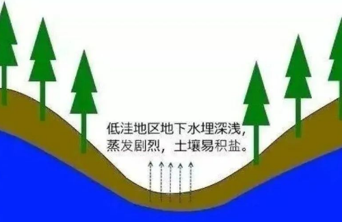 高考地理中的土壤鹽堿化