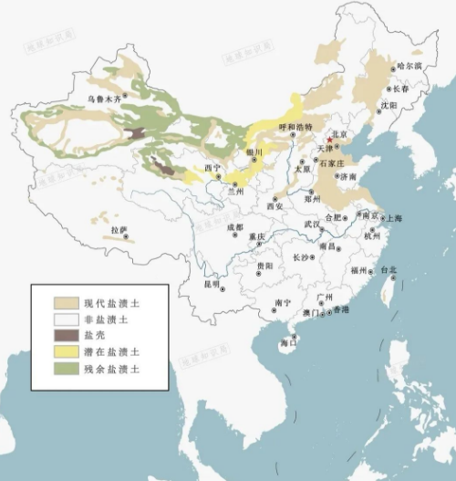 高考地理中的土壤鹽堿化