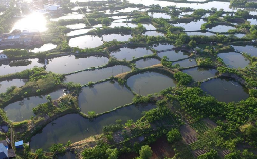 高考地理中的土壤鹽堿化