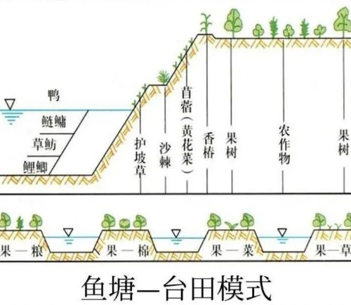 高考地理中的土壤鹽堿化