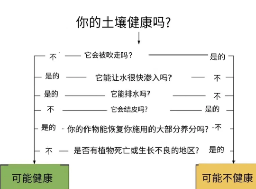 土壤（健康）評估從問“我的土壤有什么問題”開始