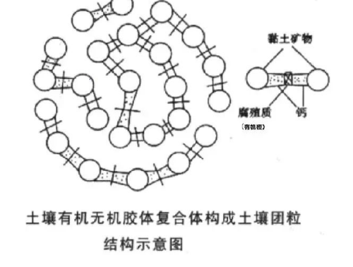 農(nóng)業(yè)人必看！這些土壤知識(shí)你了解嗎？