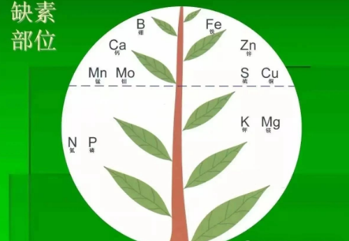 土壤面臨的十大問題，我們能視而不見嗎？