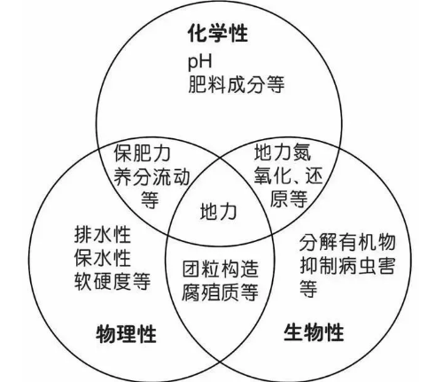 地力與優(yōu)質(zhì)土壤