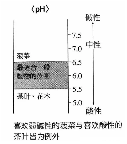 地力與優(yōu)質(zhì)土壤