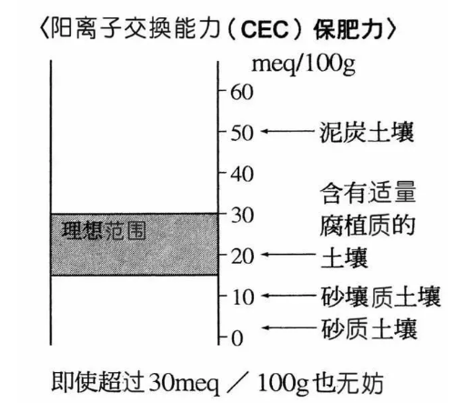 地力與優(yōu)質(zhì)土壤