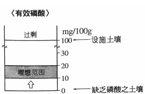 地力與優(yōu)質(zhì)土壤